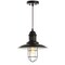 Jonathan Y Deere 12" Adjustable Iron/Glass Cage Light LED Pendant, Black JYL9537A - alternate 4