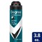 Degree Men Black Plus White Clean and Crisp Antiperspirant Deodorant Dry Spray, 3.8 Ounce, 12PK 68614364 - alternate 3