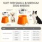 Yoken Elevated Dog Bowls, Prevention of Vertebrae Disease, Super Non-Slip PT05BOWL540ML01OMV1 - alternate 4