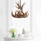Jonathan Y Nelle 18" Adjustable Resin Antler 3-Light LED Chandelier, Brown JYL6304A - alternate 7