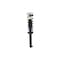 Fcs Struts Suspension Strut And Coil Spring Assembly 1345842R - alternate 1