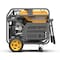 Firman Portable Generator, 30 A, 120/240 VAC, Gasoline, 13 gal Tank, 11 hr Run Time, Electric Start P12002 - alternate 2