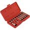 Neiko XZN Triple Square Spline Bit 12 Point Set, CrV Steel, Metric 10078A - alternate 2