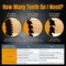 Powertec 6-1/2" Circular Saw Blade, 5/8" Arbor, 3/32" Kerf, 24T Carbide-Tipped Blade for Wood Cutting 14024 - alternate 3
