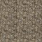 Homeroots 10' X 14' Brown And Ivory Floral Washable Indoor Outdoor Area Rug 581893 - alternate 4