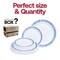 Smarty Had A Party White w/Blue and Silver Royal Rim Plastic Dinnerware Set (120 Dinner Plates+120 Salad Plates), 240PK 970BLSVP-CASE - alternate 3