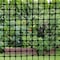 Tenax Tenax 3 ft. H X 15 ft. L Polyethylene Netting .5 X .5 in. 320045 - alternate 2