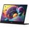 Mobile Pixels Glance 16" Class Full HD LCD Monitor - 16:9 101-1009P01 - alternate 1