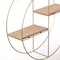 Vintiquewise Elegant 2-Tier Decorative Floating Circular Silhouette Wall Shelf - Circular Metal and Wood QI004691.2GD - alternate 6