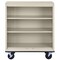 Sandusky Lee Mobile Bookcase, 42 in H, Putty BM20361836-07 - alternate 3