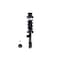 Fcs Struts Suspension Strut And Coil Spring Assembly 1334486R - alternate 1