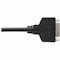 Eaton Tripp Lite Series DisplayPort to DVI-I Adapter Cable M/F, 6 in. 15.2 cm, TAA P134-000 - alternate 4