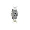 Leviton PlugsandReceptacles, 20A, 125VAC, Gry, Nylon 8310-GY - alternate 1