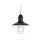 Jonathan Y Deere 12" Adjustable Iron/Glass Cage Light LED Pendant, Black JYL9537A - alternate 1