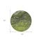 Homeroots 8' Olive Green And Lime Green Round Abstract Washable Indoor Outdoor Area Rug 577831 - alternate 2