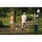 Furloo Pet Waste Station Kit with Roll Bag Dispenser, 11.5 Gallon Trash Can, Glow-in-the-Dark, Steel, Green FLO1R-S-G - alternate 4