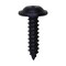 Auveco Phillips Flat Washer Head Tapping Screw #10 x 3/4in Black, 50PK 12953 - alternate 1