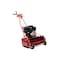Mclane Reel Mower 20-in. Front Wheels 7 Blade 5.5GT B&S Engine GPE211055 - alternate 1