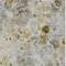 Homeroots 3' X 5' Taupe Ivory And Tan Floral Washable Indoor Outdoor Area Rug 583148 - alternate 4