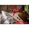 Milwaukee Tool Duct Knife, Serrated/Smooth, Blade 5 1/2 in L 48-22-1927 - alternate 4