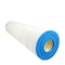 Zoro Select Sta-Rite Posi-clean TXC75, FCP75 WP.STR2590 - alternate 2
