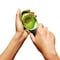 Good Grips Avocado Slicer, Plastic Blade, Green, Dishwasher Safe 1252180 - alternate 3