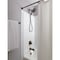 Delta Ashlyn Monitor 17 Series Shower Trim with In2ition T17464-RB-I - alternate 2