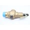 Kunkle BRONZE THREADED RELIEF VALVE 968 SCFM 50PSI 2IN NPT 6010HHM01AKM - alternate 4