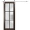 Sartodoors Sturdy Barn Door Frosted Tempered Glass Planum 2122 30x80 Solid Core Modern Interior PLANUM2122BD-S-CA-30 x 80 - alternate 1