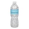 True Clear Purified Bottled Water, 16.9 oz Bottle, 24PK TRC05L24CT - alternate 1