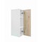 Cambridge Radiance 21 in. W x 12 in. D x 30 in. H Ready to Assemble Slab Wall Kitchen Cabinet in Light Oak SA-W2130-LO-KIT - alternate 2