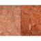 Tenax Ager Stone Enhancing Sealer - 250 ml. Revitalize and Enhance the Color of Natural Stone Surfaces. TAGE250 - alternate 2