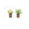 Monarch Specialties Artificial Plant, 12-in. Tall, Mullberry Grass, Table, Brown Cement Pots, Contemporary, 2PK I 9360 - alternate 2