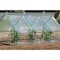 Miracle-Gro 3 x 8 x 3 ft Clear Mini Greenhouse 70525 - alternate 7