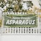 Signmission Farm Fresh Asparagus, 24 Inch x 72 Inch, Vinyl Banner B-72-30574 - alternate 3