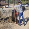Corona Tools 6 Cu. Ft. Professional Steel Wheelbarrow, Wood Handles, Flat-Free Tire WB14063 - alternate 4