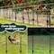 Wrightmaster 1-1/5 in. Dia x 47 in. 9-Gauge Black Heavy-Duty Galvanized Steel Fence U-Post (6-Pack), 6PK ZR-5175P413170 - alternate 3