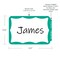 C-Line Products 3-1/2" x 2-1/4" Green Border Self-Adhesive Name Tags, 100/BX, 10BX/CT 92263-CT - alternate 3