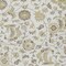 Homeroots 10' X 14' Ivory Brown And Green Floral Washable Indoor Outdoor Area Rug 597823 - alternate 6