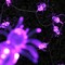 Elegani 10 LED Spider String Lights - Purple Glow Halloween Dcor - 3ft Clear Wire PH-SPDR-PPL - alternate 2