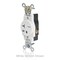 Leviton Single Receptacle Outlet, 20A, White, 250V W5461-W - alternate 3