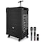 Pyle 12 in Portable Wireless Bluetooth Speaker System PWMA1299A - alternate 1