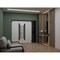 Vdomdoors Front Exterior Prehung Aluminum Double Doors Ronex0144 Grey 1 Sidelight Mirrored Clear Glass 1 RONEX0144DEXD-GRE-W72+12xH96-RH-I - alternate 2