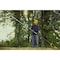 Dewalt Telescoping Pole Saw, Cordless, Rubber DCPS671X1 - alternate 4