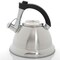 Mr Coffee Collinsbrook 2.4 Quart Stainless Steel Whistling Tea Kettle 98239.01 - alternate 4