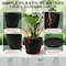 Campior Plastic Plant Pots with Drainage, Home Decor Flower Pot, Stackable Design for Indoor, 20PK CMP22BLK - alternate 4