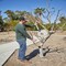 Corona Tools Hickory Handle ClassicCUT Bypass Lopper, 26 in., 2-1/4 in. Cut Capacity WL 6420 - alternate 2