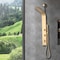 Anzzi Cici Series 39 in. 2-Jetted Shower Tower with Heavy Rain Shower and Body Jets SP-AZ081BG - alternate 3