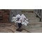 Celebrations 2 ft. Full LED 35 ct Snowy Color Changing Porch Bush 09-04001A - alternate 4