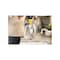 Bissell TurboClean DualPro Pet Carpet Cleaner, 1.25 gal Tank, 11 in W Cleaning Path 3067 - alternate 8